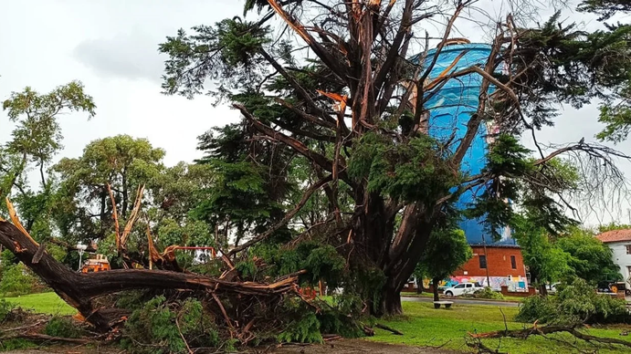 Miramar: le robaron a una de las víctimas del temporal cuando estaba inconsciente