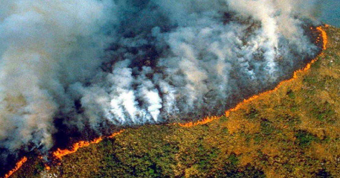 La deforestación en la Amazonia brasileña llegó a su nivel más alto en una década