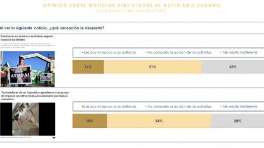 Argentina carnívora: 7 de cada 10 personas creen que las protestas veganas no impactan sobre el consumo de carne
