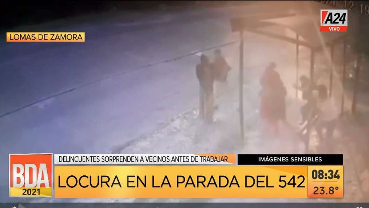 Lomas de Zamora: locura en la parada de la línea 542. (Captura de Tv)
