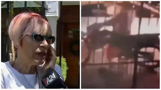 Impactante robo piraña: 12 motochorros actuaron en manada para robarle a dos mujeres