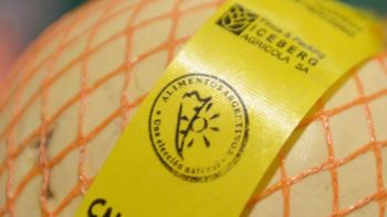 Simplificaron el procedimiento de reintegros a PYMES alimenticias