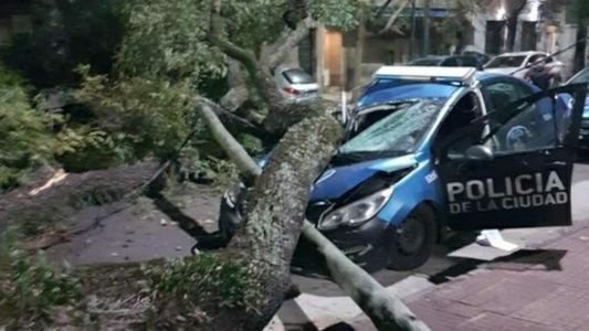 Árboles caídos, voladuras de techos y servicios afectados: todo lo que dejó el temporal en la Ciudad