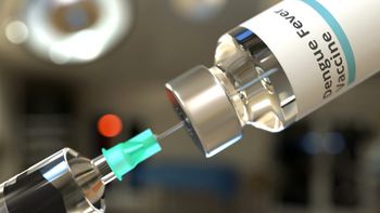 Vacuna contra el dengue: ¿cómo funciona y de qué forma podría aliviar el brote de casos?