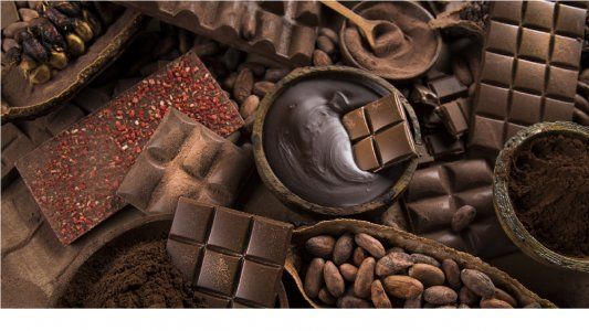 ¿Por qué el gusto por el café y el cacao pueden ser un riesgo para los bosques?