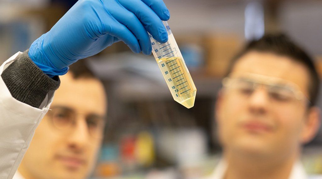 Argentina inició ensayos clínicos para producir medicamento propio para tratar pacientes con COVID-19