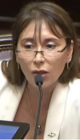 Una senadora de Unión por la Patria apuntó contra Javier Milei: Es un enfermo mental
