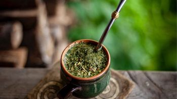 Mezclar yerba mate con té verde: para qué sirve este truco y por qué recomiendan hacerlo. (Foto: Archivo) Mezclar yerba mate con té verde: para qué sirve este truco y por qué recomiendan hacerlo. (Foto: Archivo)