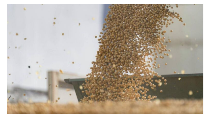 Productores del Norte rechazan retenciones diferenciadas y la representatividad del Consejo Agroindustrial