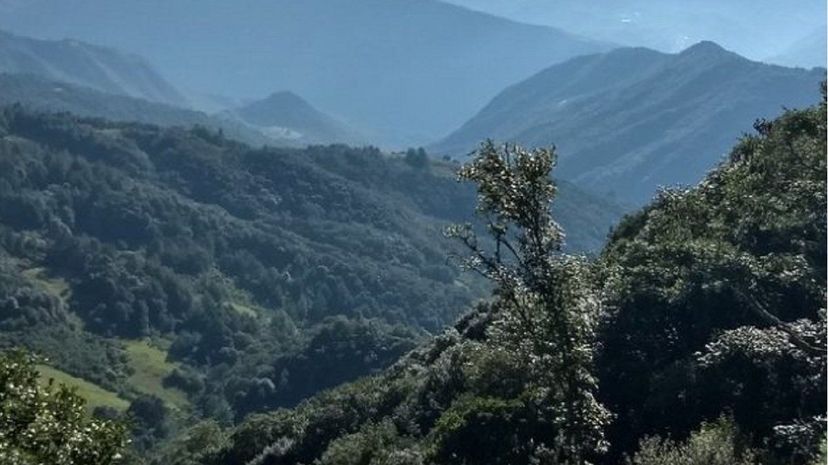 La pandemia de covid exacerbó las presiones de deforestación y aumentó la urgencia de tomar medidas para apoyar la ordenación forestal sostenible. En la imagen