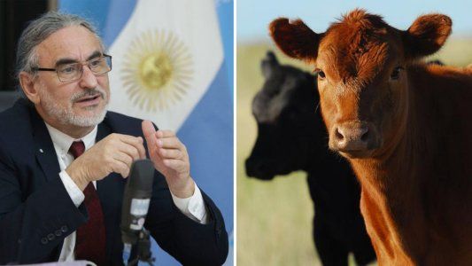 Cooperativas ofrecen asado a $460 y negocian matrículas para comprar hacienda