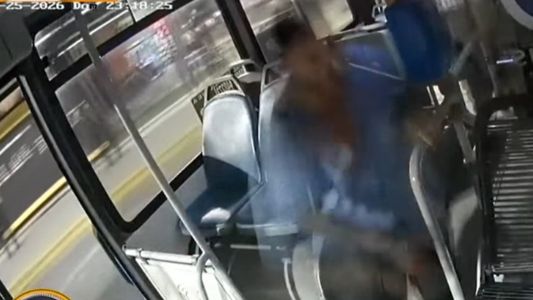 Video: brutal pelea entre un chofer y un pasajero en un colectivo que quedó fuera de control