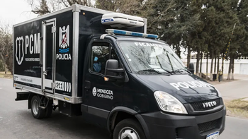 Se enteró que su hermano salía con una expareja, lo apuñaló y lo mató