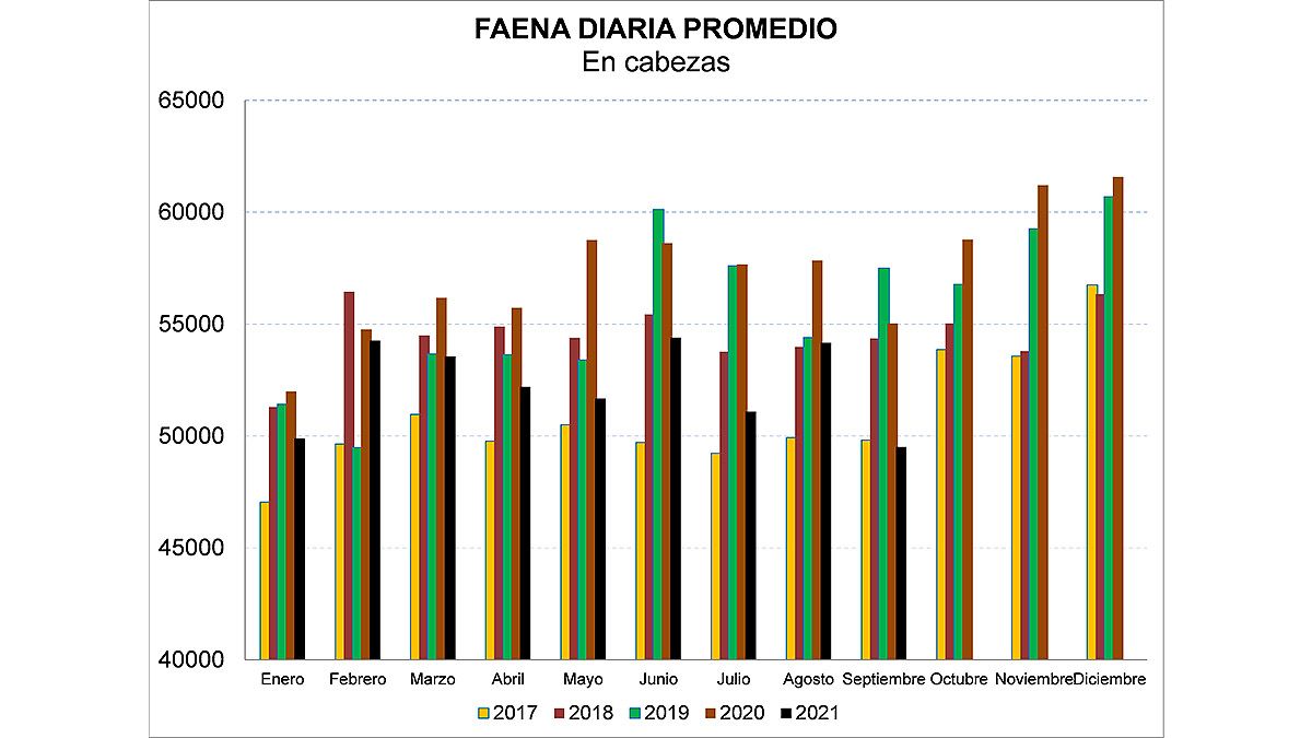 La producción de carne y su promedio diario. 