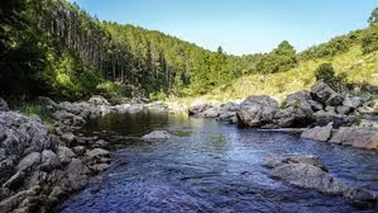 Tragedia en el río: hizo una caminata, se metió al agua y el desenlace fue fatal