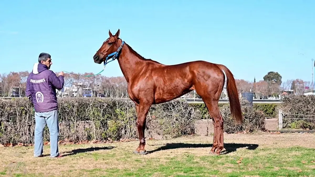 &nbsp;“Belleza de Arteaga”