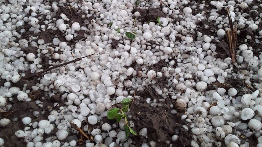 La desilusión de los productores santiagueños: de la esperanza de lluvias al peor granizo de los últimos años