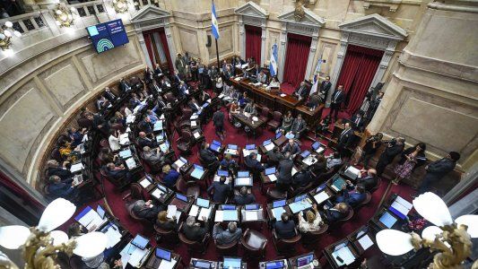 Los senadores fueron convocados a debatir el miércoles la Emergencia Alimentaria