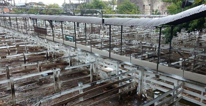En el último día de paro, no hubo ingresos en el Mercado de Liniers
