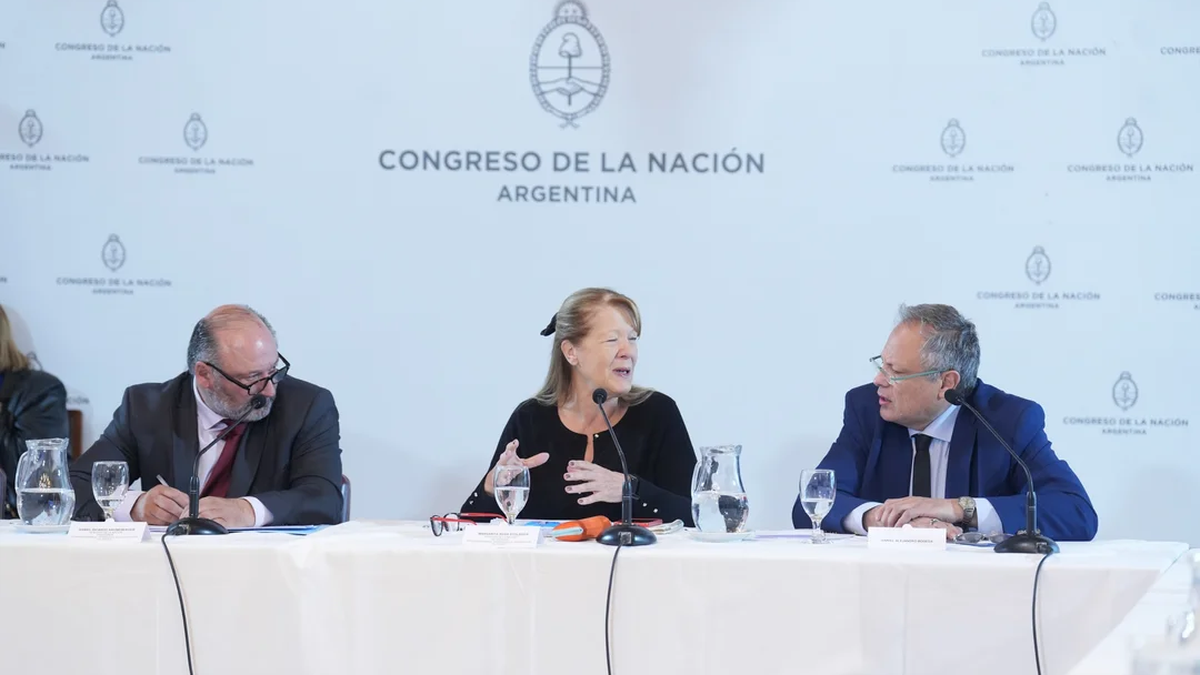 Expusieron en el Congreso los candidatos a Defensor del Pueblo y Procurador Penitenciario.&nbsp;