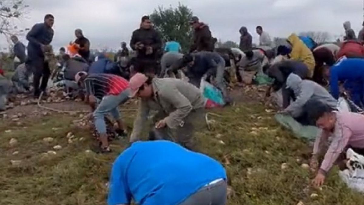 Tucumán: al menos 60 vecinos se abalanzaron sobre las papas tras el choque del camión con el taxi (Foto: NA).