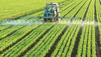 La suba de los precios de los granos impulsa el uso de fertilizantes y se esperan ventas récord