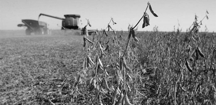 De la protesta al coronavirus, la nueva agenda de crisis del campo