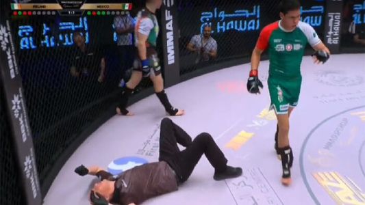 Un árbitro dirigía una pelea de MMA, recibió una patada knockout