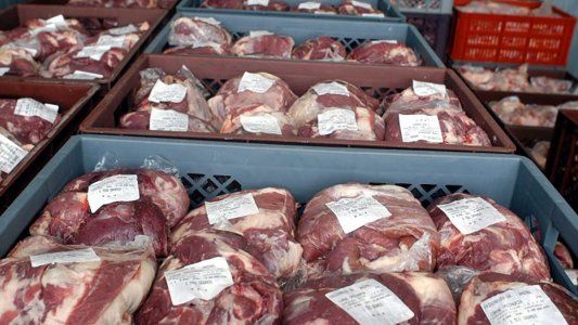 Carne vacuna: las exportaciones cayeron 30% en enero por el resfrío del mercado chino