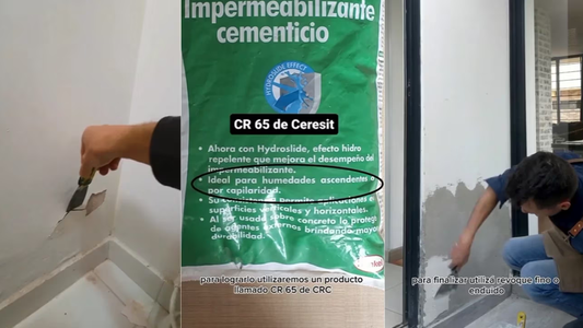 Mostró el truco definitivo para terminar con la humedad en las paredes: Volver a estar tranquilo