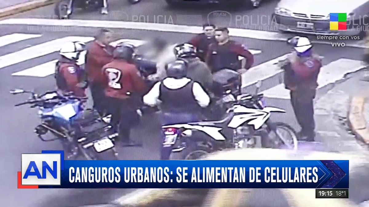 Exclusivo: así operan los canguros urbanos que se alimentan de celulares