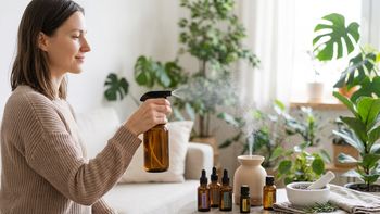 Aceites esenciales para limpiar y perfumar la casa: cuáles usar y cómo diluirlos