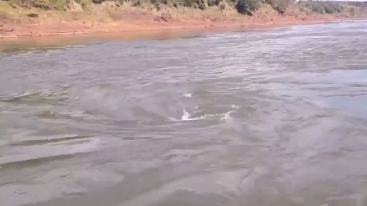 El remolino se forma cerca de la costa, pero llega hasta lo m&aacute;s profundo del Paran&aacute;. (Foto: Captura de TV)