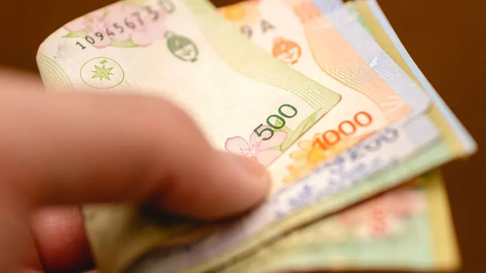 AGUINALDO de ANSES: se CONFIRMA qué grupos COBRARÁN en JUNIO