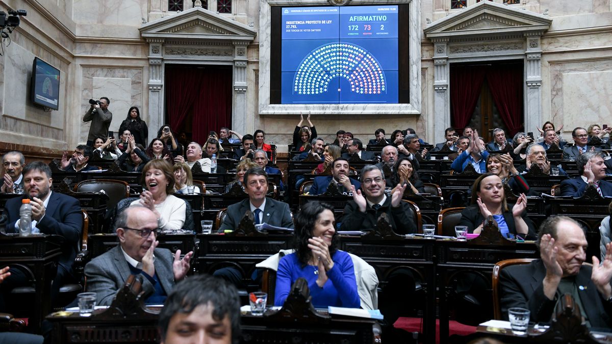 Diputados aprobó la limitación de los DNU