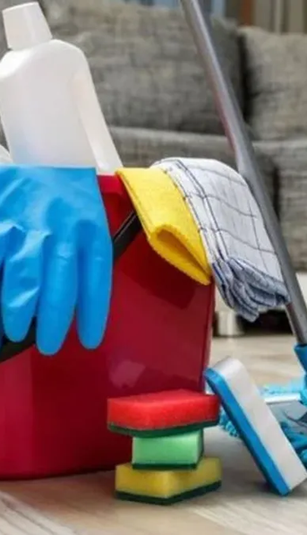 Día de la empleada doméstica: cuánto se PAGA por TRABAJAR hoy