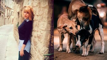 Cayetina tras ser criticada por su relato: El maltrato animal es muy grave, no tiene nada que ver conmigo