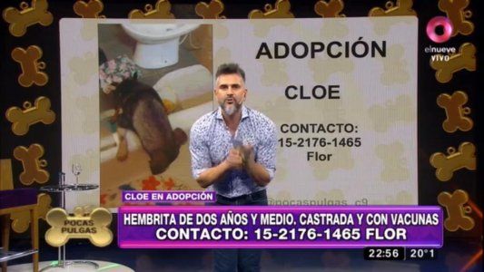 Duro comentario de Leo Montero contra Susana: No se devuelven perros como hacen señoras mayores