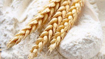 Los molineros se sumaron a la polémica por los alimentos y plantean la actualización de los Precios Máximos