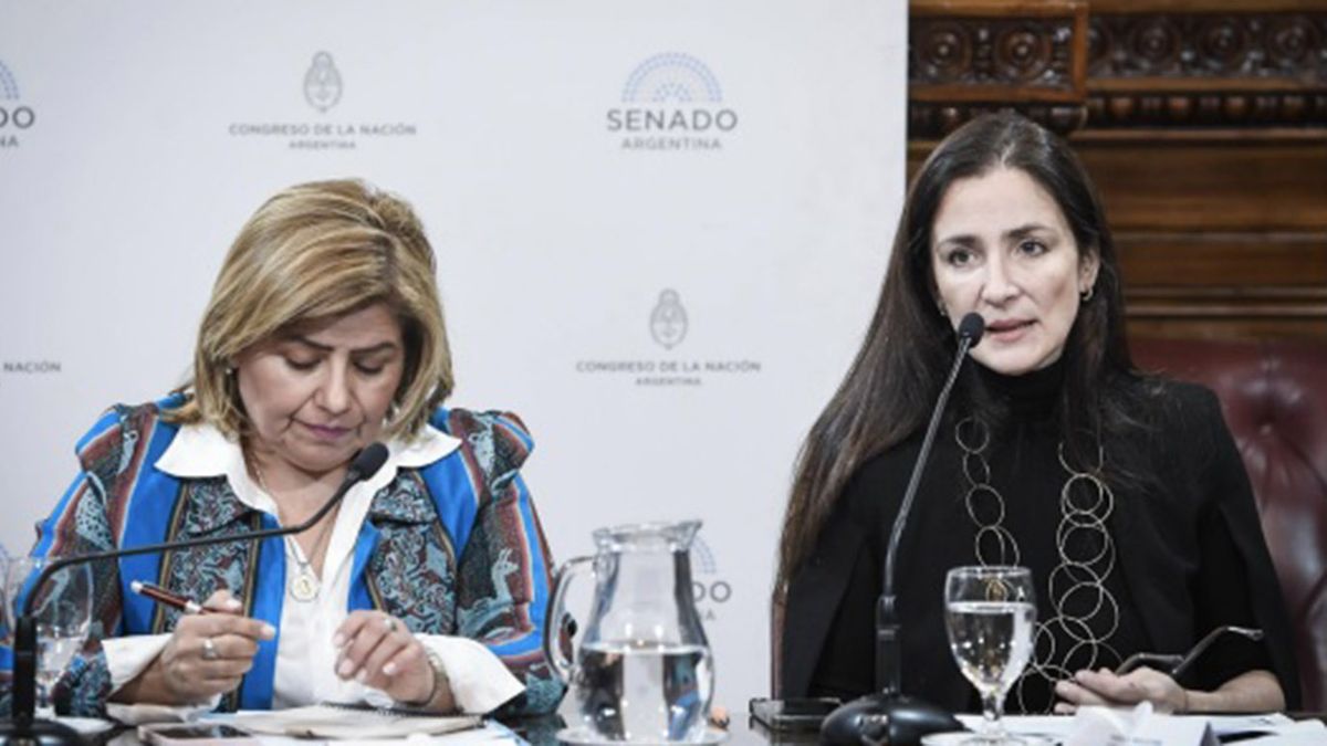 La Fundación Red por la Infancia presentó el informe “Fuera de las Sombras”