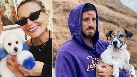 Carmen Barbieri tiñó de celeste a su perro, fue cuestionada y Federico Bal la defendió
