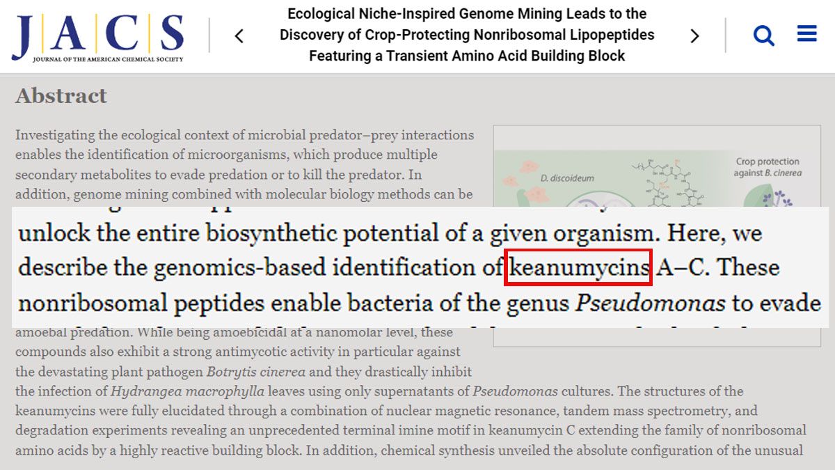 Científicos alemanes le pusieron el nombre a una molécula en honor a Keanu Reeves por la letalidad y capacidad de sus personajes (Foto: Journal of The American Chemical Society)