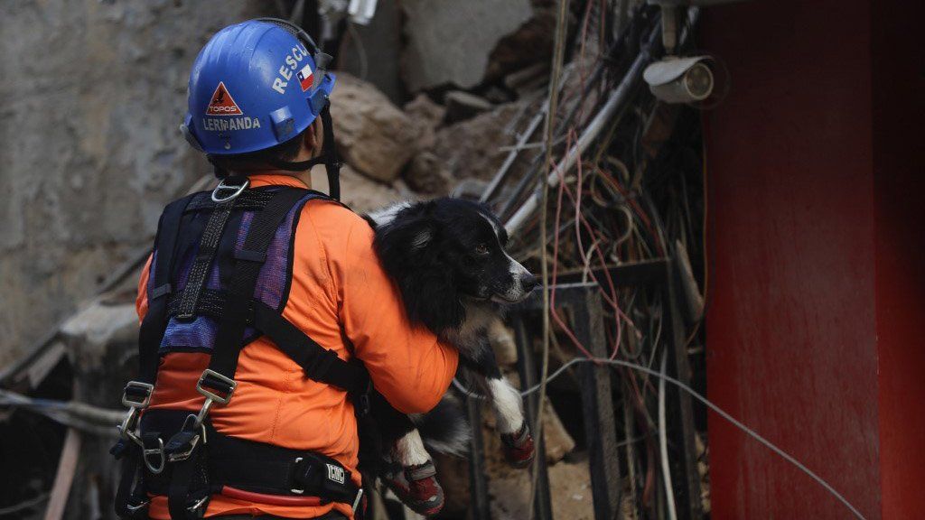 Beirut: un mes después de la explosión, rescatistas chilenos detectan signos de vida debajo de escombros de un edificio