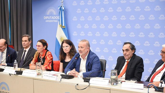 Mega DNU: la oposición denunció que interrumpieron la transmisión oficial de una reunión de comisión