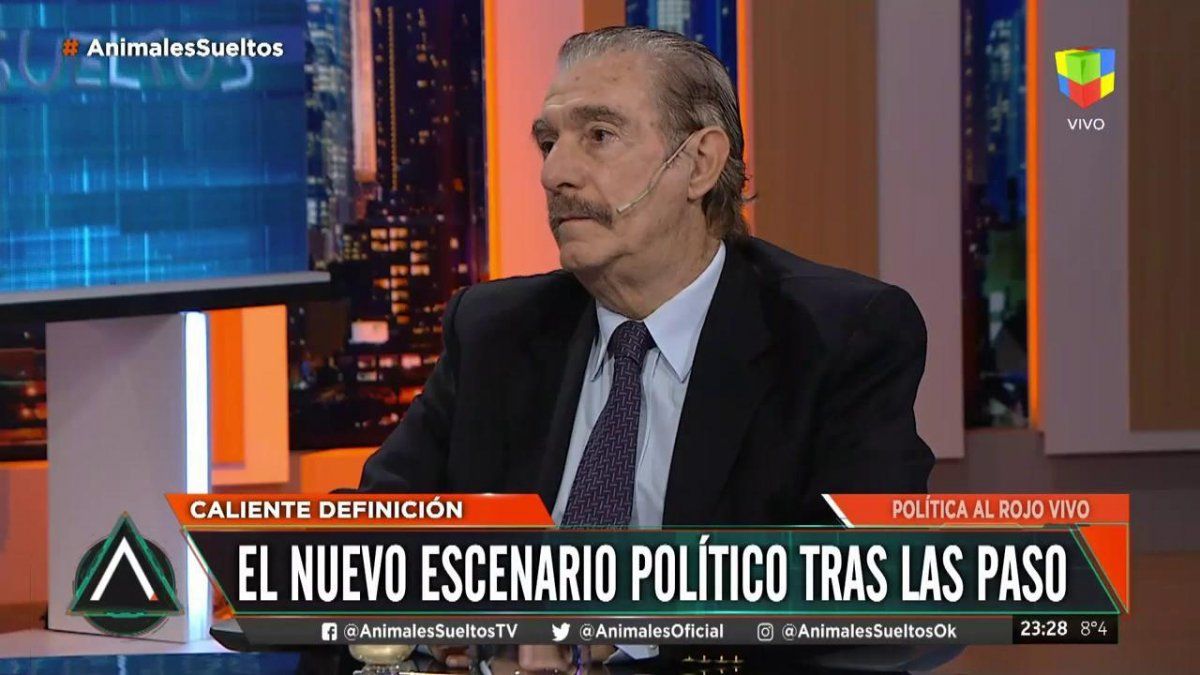 Storani: El pueblo argentino va a olfatear grandeza entre Macri y Alberto Fernández