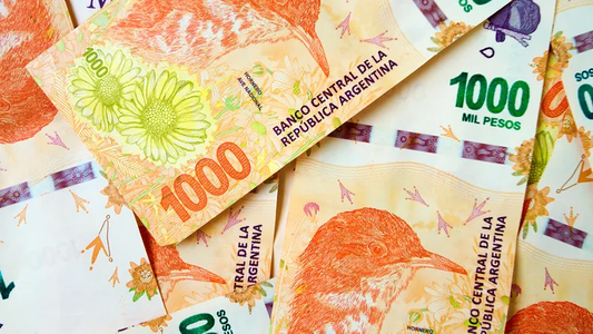 IFE 4 2022: por qué me rechazaron el bono refuerzo de ingresos