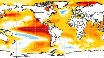 La fuerte advertencia de una científica argentina de la ONU sobre el verano 2027 por el Super-Niño
