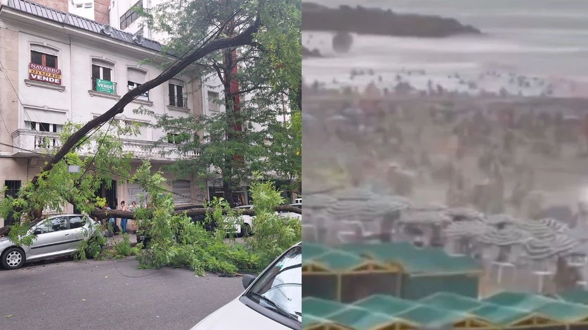 Temporal en Mar del Plata: ráfagas de 70 km por hora