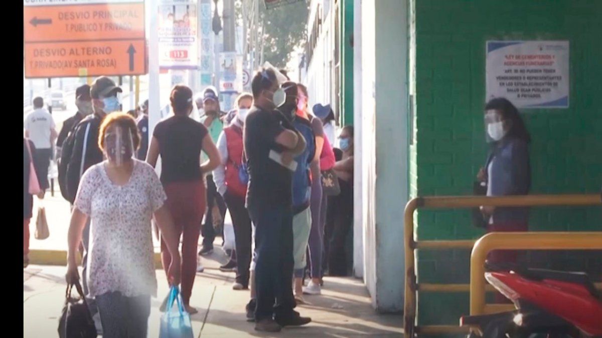 Para la OPS, en el último mes hubo menos contagios y muertes por coronavirus en el continente americano