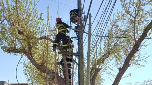 Le explotó la mano: un operario sufrió una descarga eléctrica mientras trabajaba en un poste
